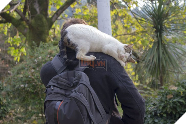 12 hình ảnh ấm lòng khi con người ra tay cứu giúp những bé động vật đang gặp nguy hiểm khiến bạn cảm thấy ấm lòng 12