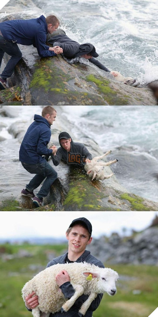 12 hình ảnh ấm lòng khi con người ra tay cứu giúp những bé động vật đang gặp nguy hiểm khiến bạn cảm thấy ấm lòng 9