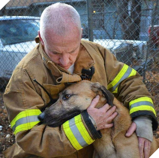 12 hình ảnh ấm lòng khi con người ra tay cứu giúp những bé động vật đang gặp nguy hiểm khiến bạn cảm thấy ấm lòng 3