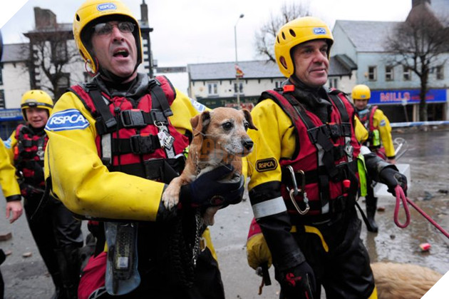 12 hình ảnh ấm lòng khi con người ra tay cứu giúp những bé động vật đang gặp nguy hiểm khiến bạn cảm thấy ấm lòng 7