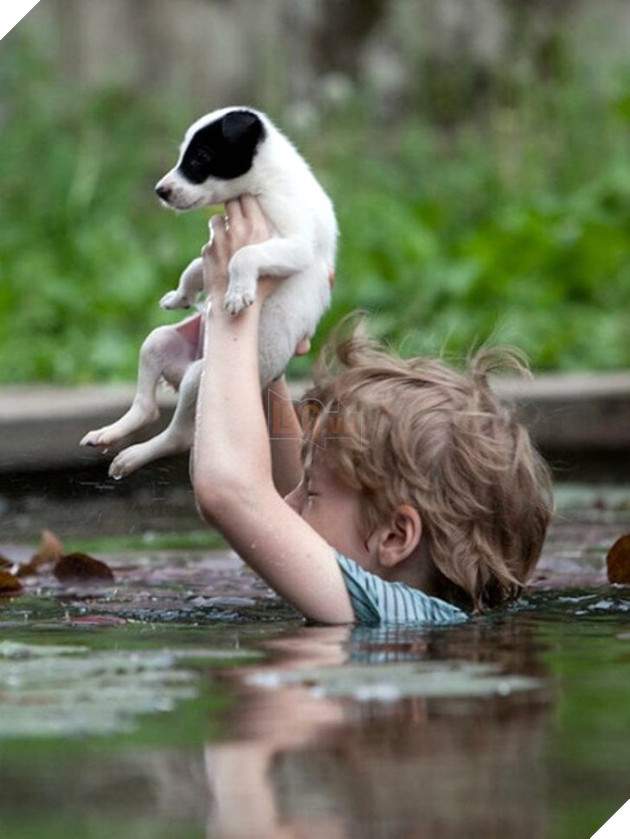 12 hình ảnh ấm lòng khi con người ra tay cứu giúp những bé động vật đang gặp nguy hiểm khiến bạn cảm thấy ấm lòng 6