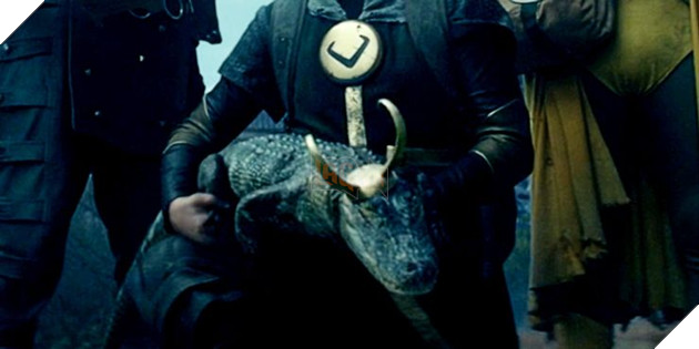  Góc cập nhật kiến thức Những điều thú vị có thể bạn chưa biết về Loki phiên bản cá sấu 