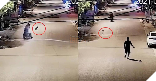  
Chú chó vẫn nhởn nhơ trước mặt các đối tượng mà không hề sợ. (Ảnh cắt từ clip)