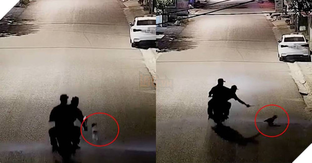  
Hai tên "cẩu tặc" và chú chó. (Ảnh cắt từ clip)