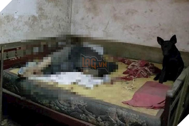 cau-be-lang-thang-bi-bat-nat-nhat-chu-cho-hoang-ve-lam-ban-anh-5