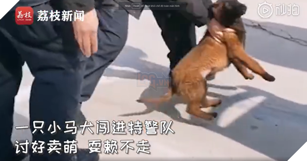 Boss tự đi báo công an sau khi bị bỏ rơi giữa mùa dịch - Hình 1