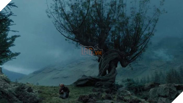 Hogwarts Legacy sẽ thiếu vắng một số địa điểm nổi tiếng 2