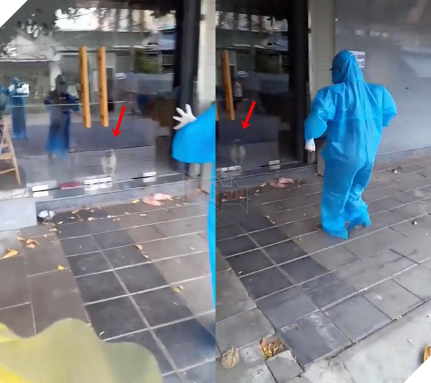 Clip nhân viên lấy mẫu xét nghiệm làm nhiệm vụ vẫn đam mê trêu cún - Hình 1