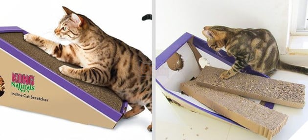 20 con sen vui mừng mua đồ xịn cho boss nhưng chúng nó thì lại chả thèm quan tâm 11