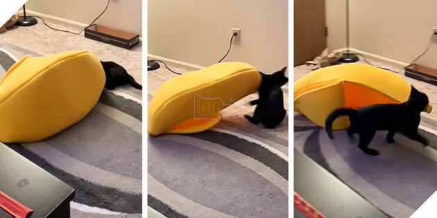 20 con sen vui mừng mua đồ xịn cho boss nhưng chúng nó thì lại chả thèm quan tâm 16