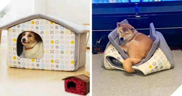 20 con sen vui mừng mua đồ xịn cho boss nhưng chúng nó thì lại chả thèm quan tâm