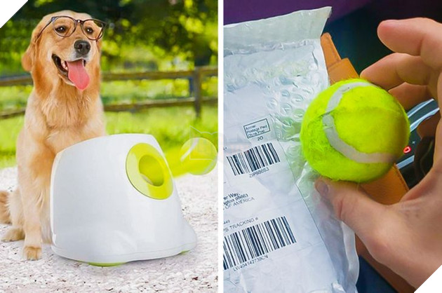 20 con sen vui mừng mua đồ xịn cho boss nhưng chúng nó thì lại chả thèm quan tâm 3