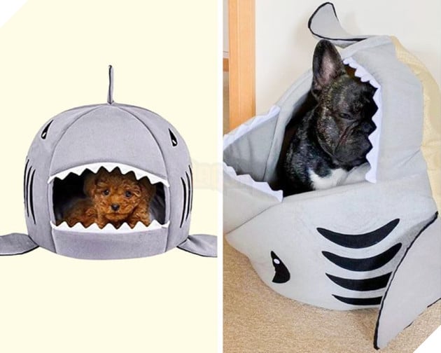 20 con sen vui mừng mua đồ xịn cho boss nhưng chúng nó thì lại chả thèm quan tâm 5