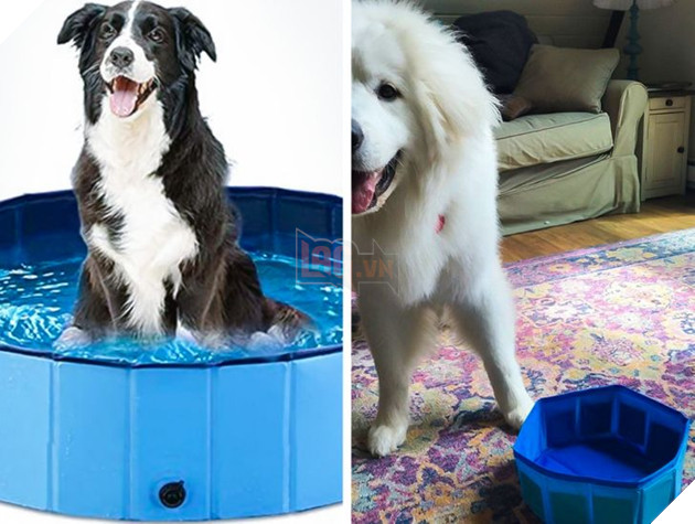 20 con sen vui mừng mua đồ xịn cho boss nhưng chúng nó thì lại chả thèm quan tâm 8