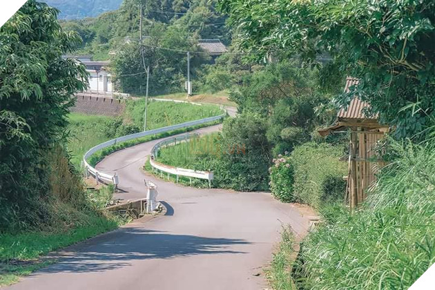 Những bức ảnh đời thực ảo diệu như bước ra từ thế giới anime Phần 2  9