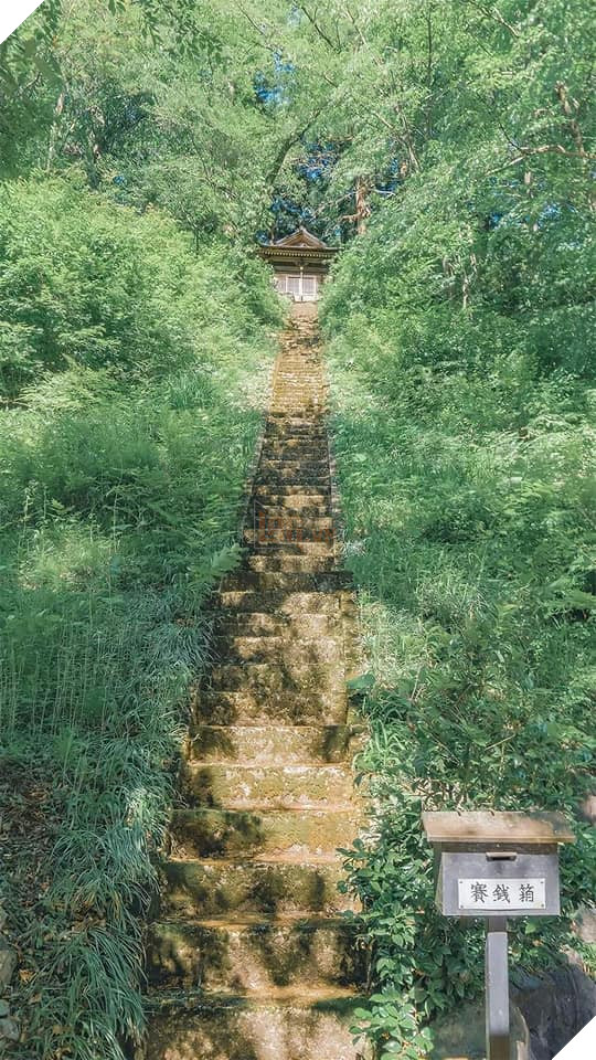 Những bức ảnh đời thực ảo diệu như bước ra từ thế giới anime Phần 1  4