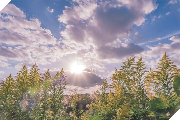 Những bức ảnh đời thực ảo diệu như bước ra từ thế giới anime Phần 2  3