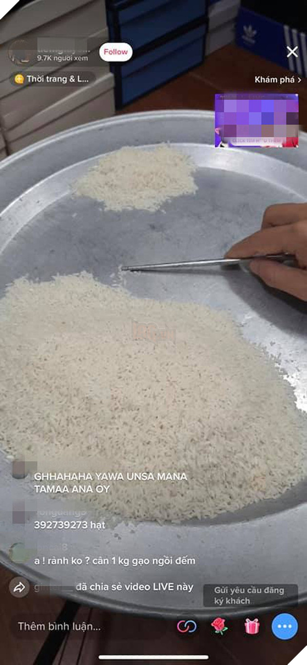 Livestream đếm gạo vì quá chán, nam thanh niên thu hút hàng nghìn lượt xem cùng một lúc 2
