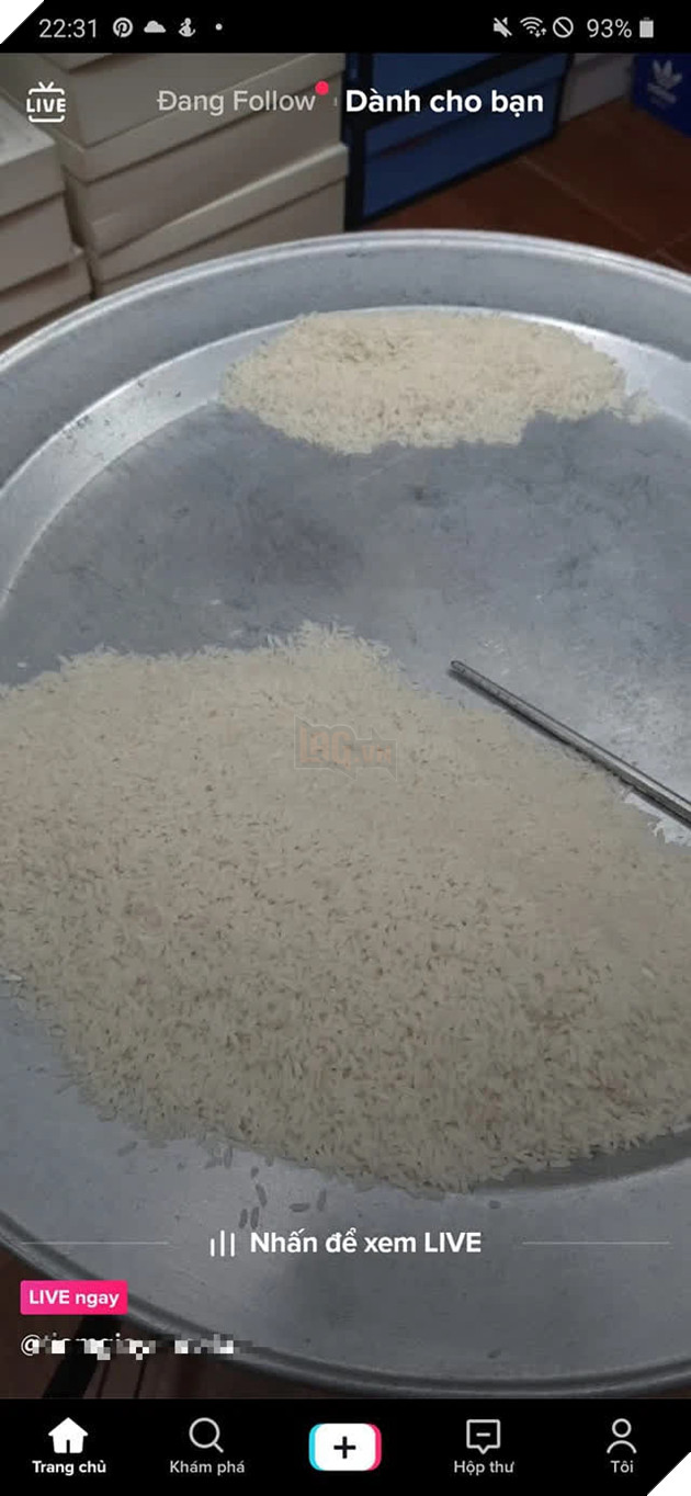 Livestream đếm gạo vì quá chán, nam thanh niên thu hút hàng nghìn lượt xem cùng một lúc
