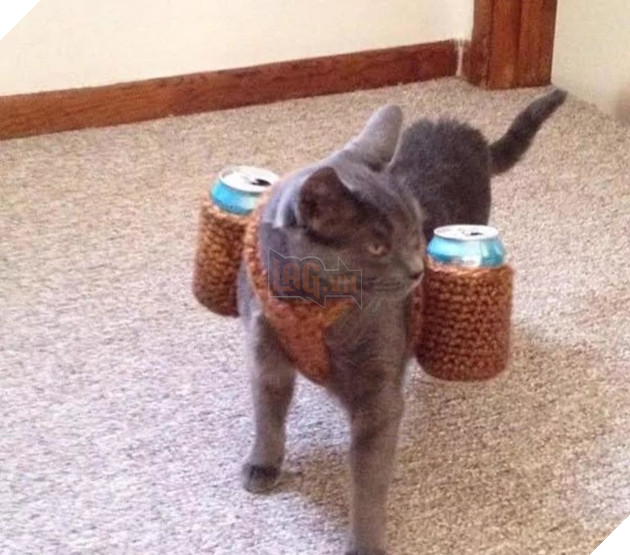 Những hình ảnh khi hoàng thượng cố tỏ ra dễ thương để khiến cho các con sen phải xiêu lòng và phục vụ chúng suốt đời 14