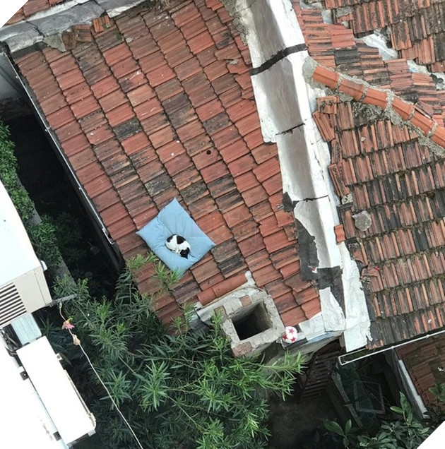 Những hình ảnh khi hoàng thượng cố tỏ ra dễ thương để khiến cho các con sen phải xiêu lòng và phục vụ chúng suốt đời