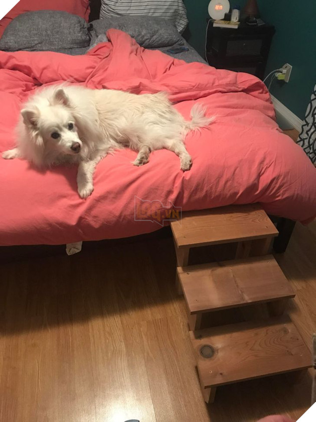 Tổng hợp những hình ảnh các bé động vật dù đã lớn tuổi nhưng vẫn mãi là bé con của lòng sen 8