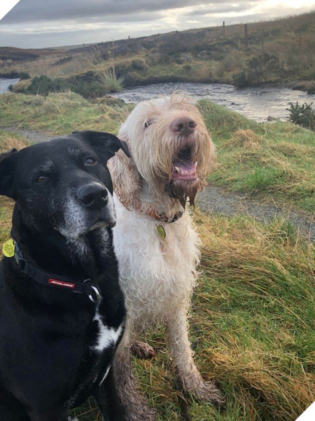 Tổng hợp những hình ảnh các bé động vật dù đã lớn tuổi nhưng vẫn mãi là bé con của lòng sen 4