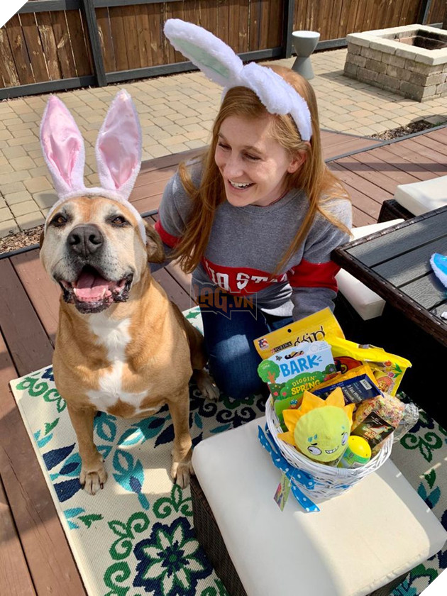 Tổng hợp những hình ảnh các bé động vật dù đã lớn tuổi nhưng vẫn mãi là bé con của lòng sen 5