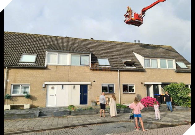 Mèo lên nóc nhà rồi không xuống được, Sen liền kêu cứu hỏa tới cứu nhưng hóa ra là nó đang chuẩn bị đi nặng