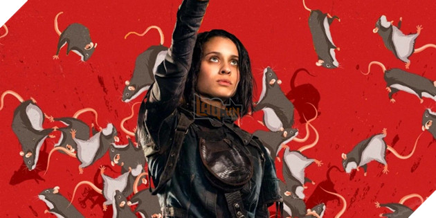 Tổng hợp tất cả những thành viên của Biệt đội cảm tử Suicide Squad 2 Phần 3  3