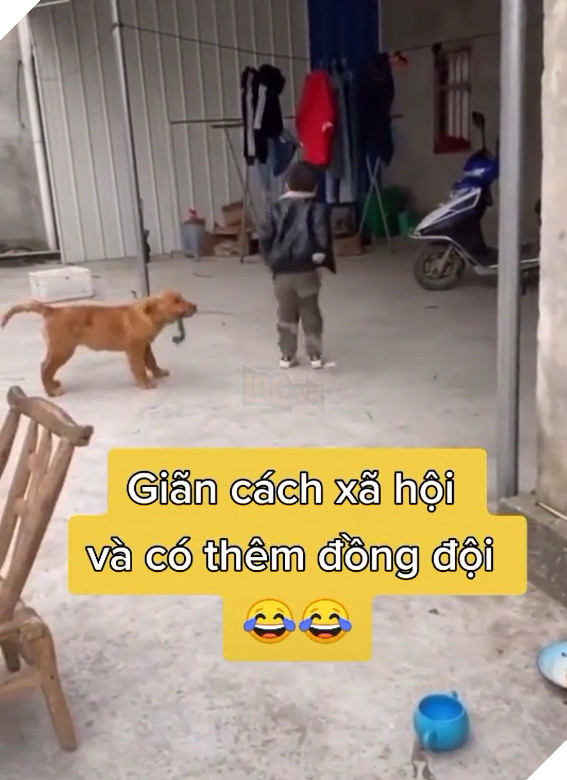  
Chú chó cùng chủ chơi nhảy dây. (Ảnh: Chụp màn hình)