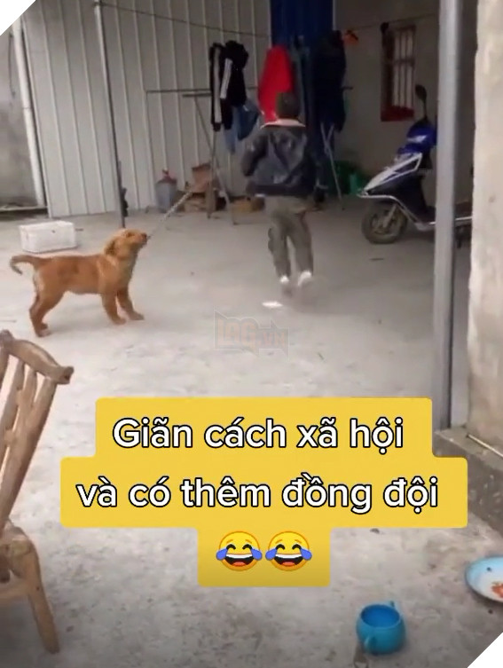  
Hành động quất dây liên tục của chú chó khá chuyên nghiệp. (Ảnh: Chụp màn hình)