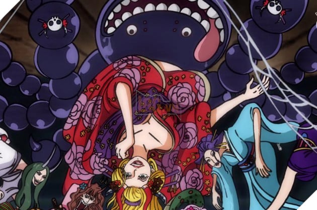 Kumo Kumo No Mi, Model Rosamygale Grauvogeli