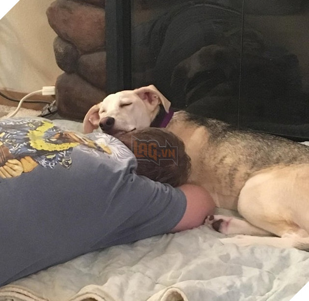 21 hình ảnh các bé động vật được sống trong sự yêu thương của con người khiến cho bạn cảm thấy ấm lòng 15