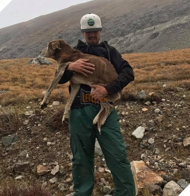 21 hình ảnh các bé động vật được sống trong sự yêu thương của con người khiến cho bạn cảm thấy ấm lòng 18