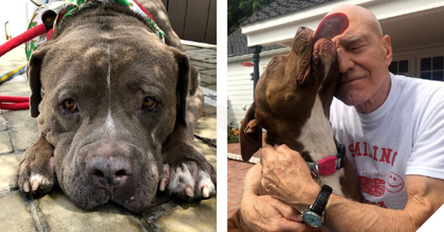 21 hình ảnh các bé động vật được sống trong sự yêu thương của con người khiến cho bạn cảm thấy ấm lòng 6