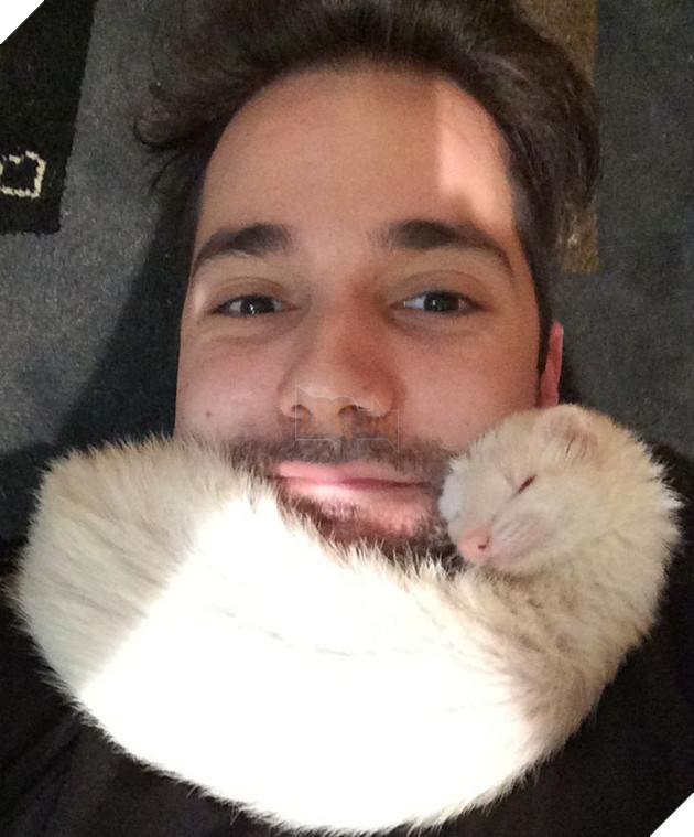 20 hình ảnh các bé động vật dễ thương ngủ chung với nhau khiến cho bạn thấy ấm lòng. 17