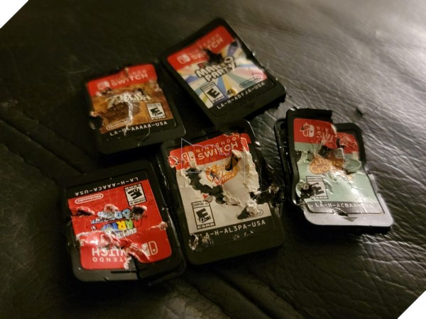 Đắng lòng dàn băng trò chơi điện tử giá hơn 30 triệu đồng bị chú cún cưng cắt nát bươm