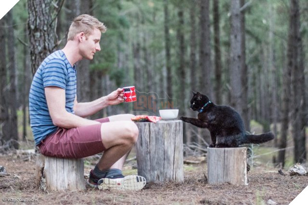 Những dấu hiệu và cách để cho một con mèo yêu quý bạn nhiều hơn 6