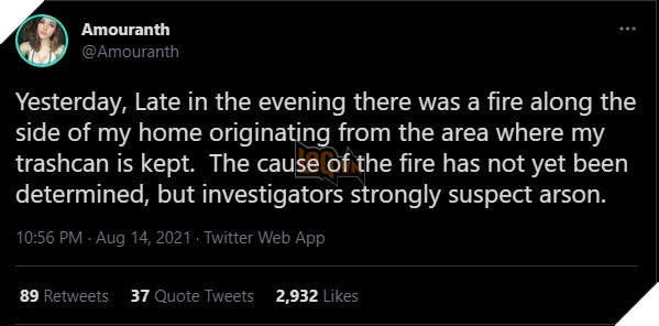 Nữ streamer nổi tiếng của Twitch bị kẻ gian đột nhập vào nhà để...đốt thùng rác 2