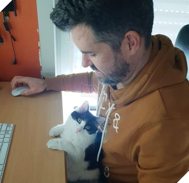 15 hình ảnh các bé chó mèo có biểu cảm giống như con người khiến bạn chỉ muốn yêu thương chúng mãi 10