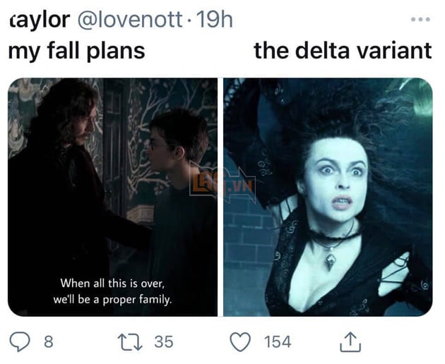 Meme Kế hoạch mùa thu vs Biến thể Delta - 1 meme bỗng nhiên nổi tiếng trên toàn thế giới 8