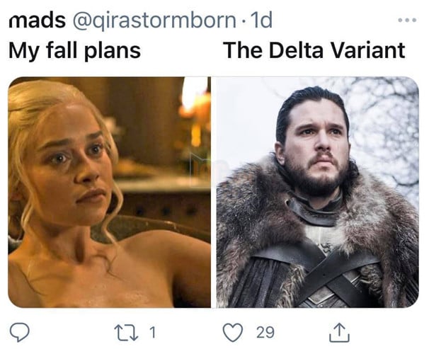 Meme Kế hoạch mùa thu vs Biến thể Delta - 1 meme bỗng nhiên nổi tiếng trên toàn thế giới 6