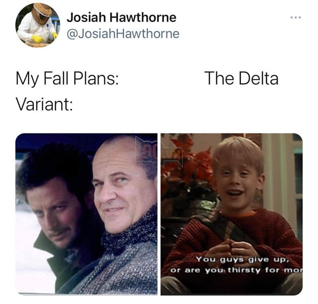 Meme Kế hoạch mùa thu vs Biến thể Delta - 1 meme bỗng nhiên nổi tiếng trên toàn thế giới 9