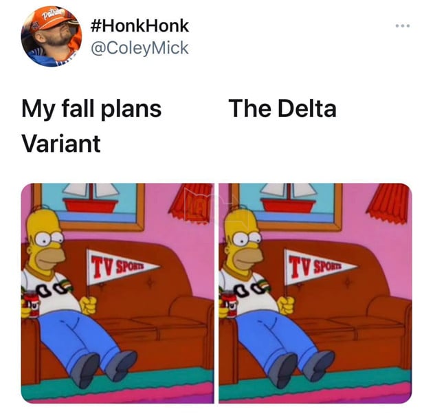 Meme Kế hoạch mùa thu vs Biến thể Delta - 1 meme bỗng nhiên nổi tiếng trên toàn thế giới 11