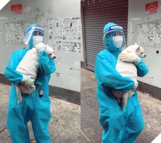 Cô tình nguyện viên GenZ đi giúp dân test Covid còn được tặng cả bé cún mang về 2
