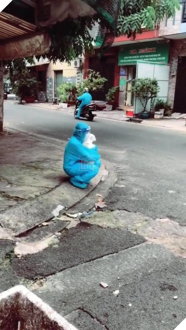 Cô tình nguyện viên GenZ đi giúp dân test Covid còn được tặng cả bé cún mang về 3