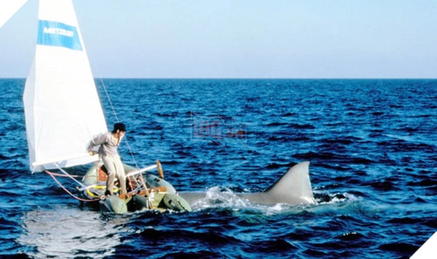 Những sự cố thú vị bất ngờ trong hậu trường các bom tấn Hollywood Phần 2  3