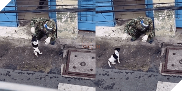 Người lính chơi đùa với chú chó nhỏ gây xôn xao CĐM. (Ảnh cắt từ clip)