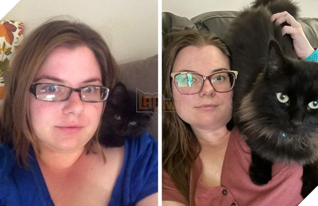 17 bé chó mèo lớn nhanh như thánh Gióng khiến cho các con sen phải bất ngờ 15